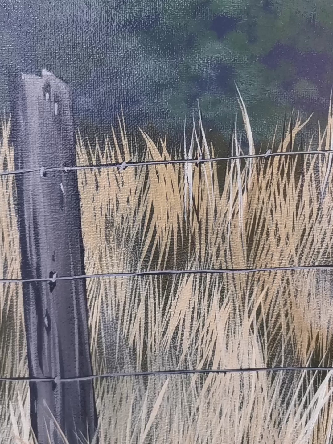 Late Afternoon Banks Peninsula - Original Painting