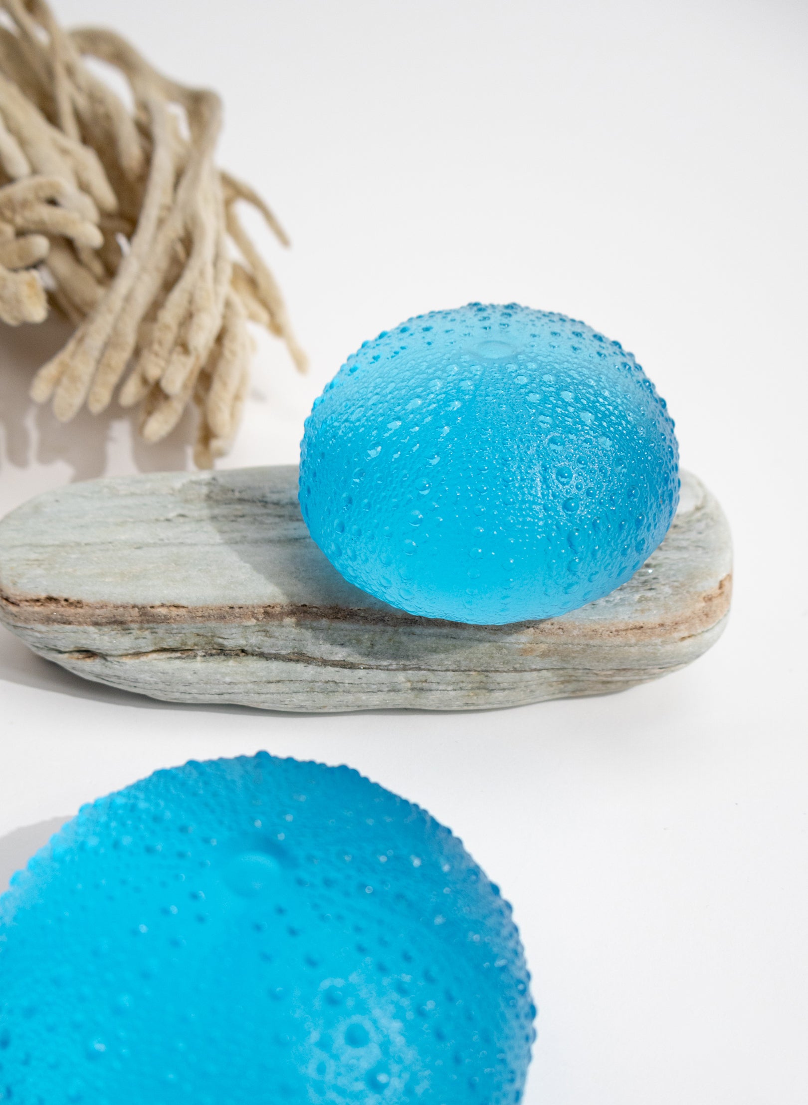 XLarge Sea Urchin - Copper Blue