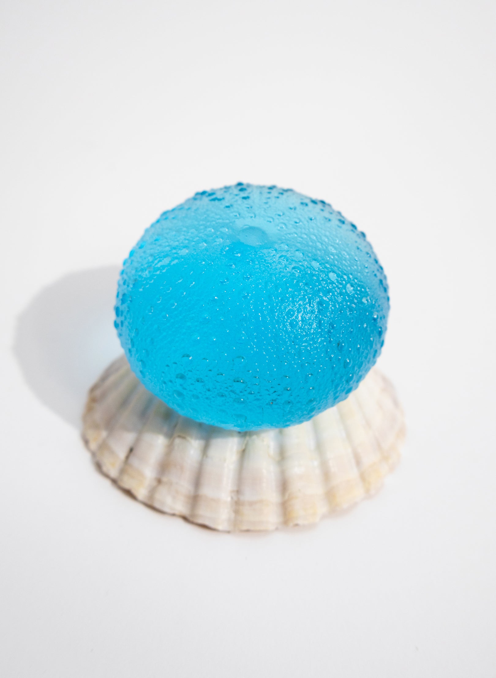 XLarge Sea Urchin - Copper Blue