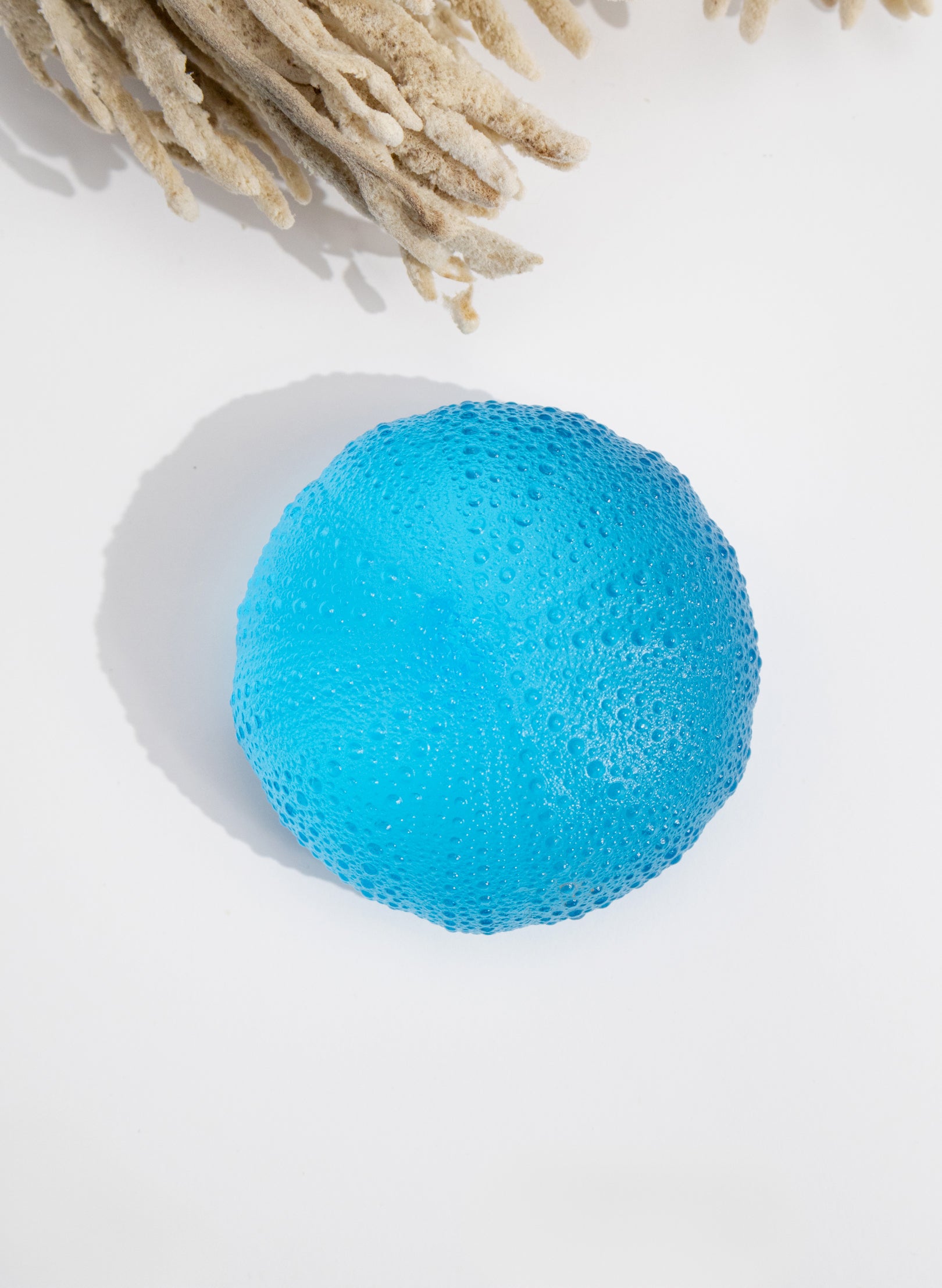 5XLarge Sea Urchin - Copper Blue