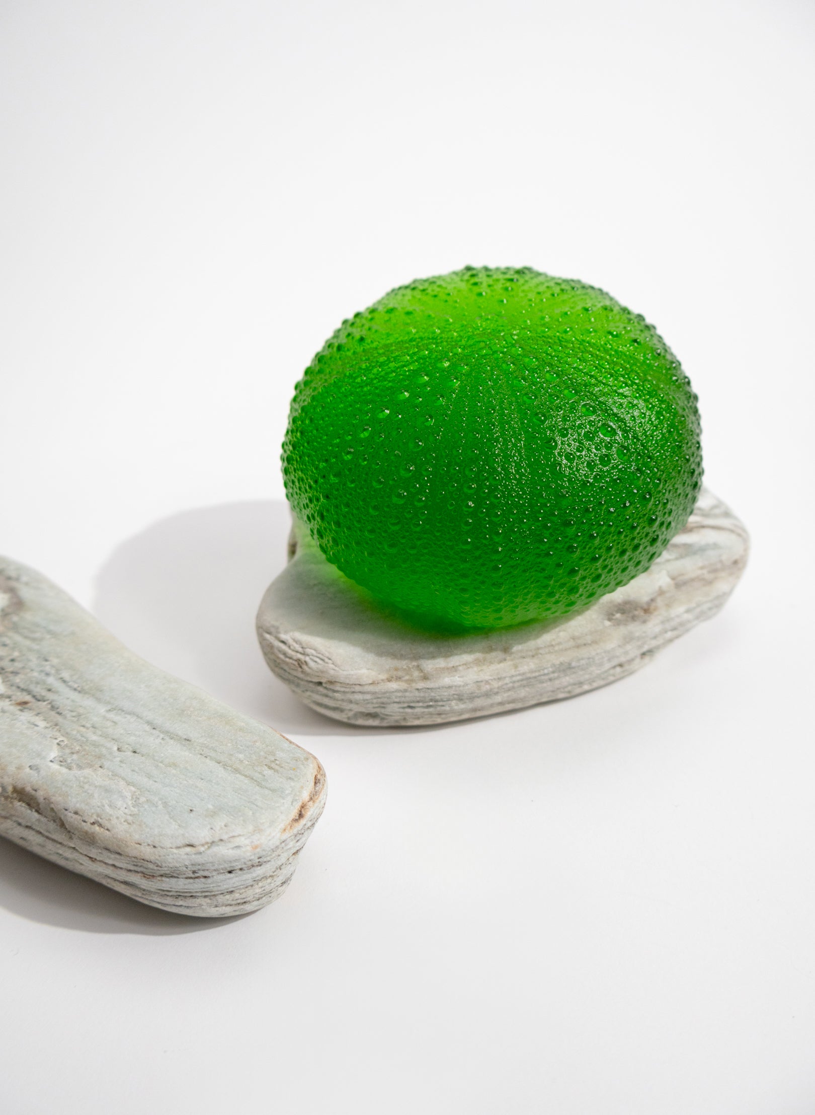 5XLarge Sea Urchin - Emerald