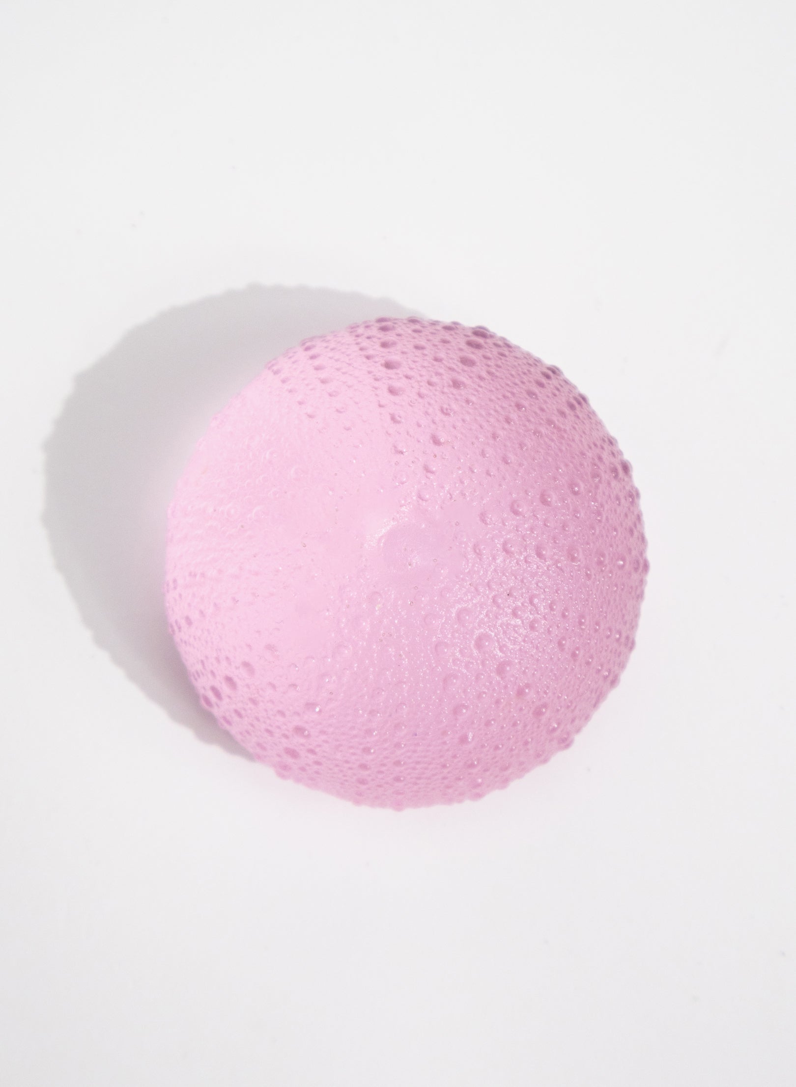 XLarge Sea Urchin - Pink