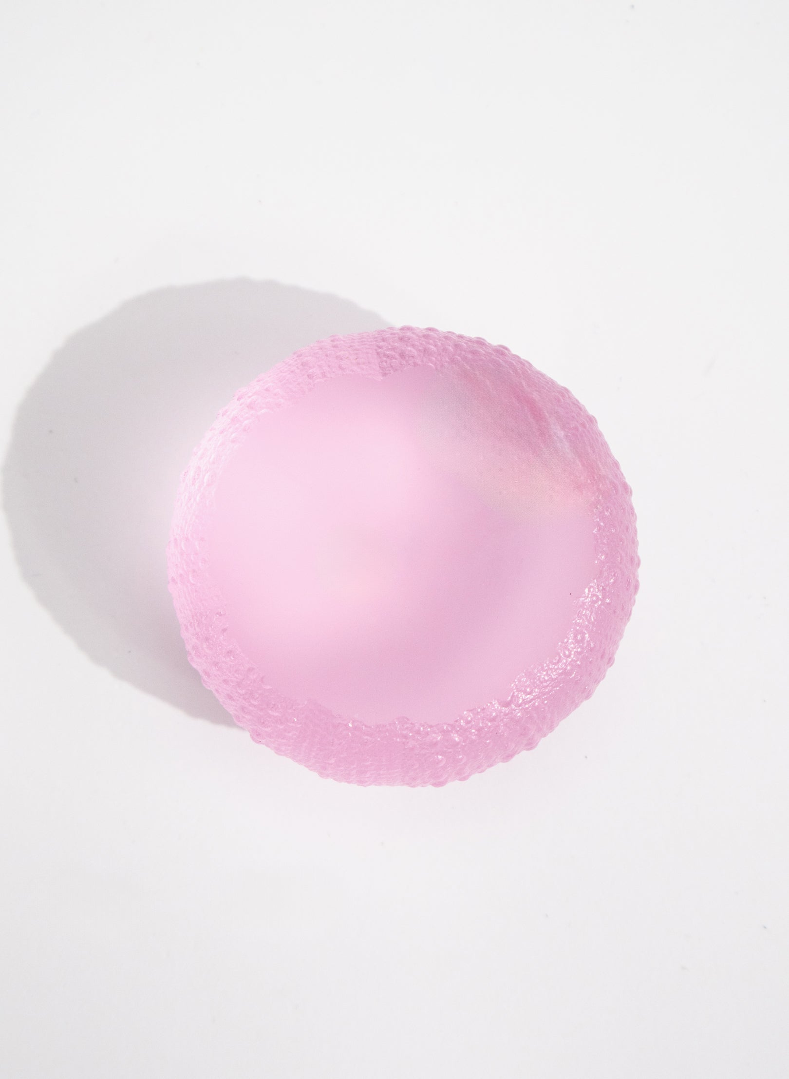 XLarge Sea Urchin - Pink