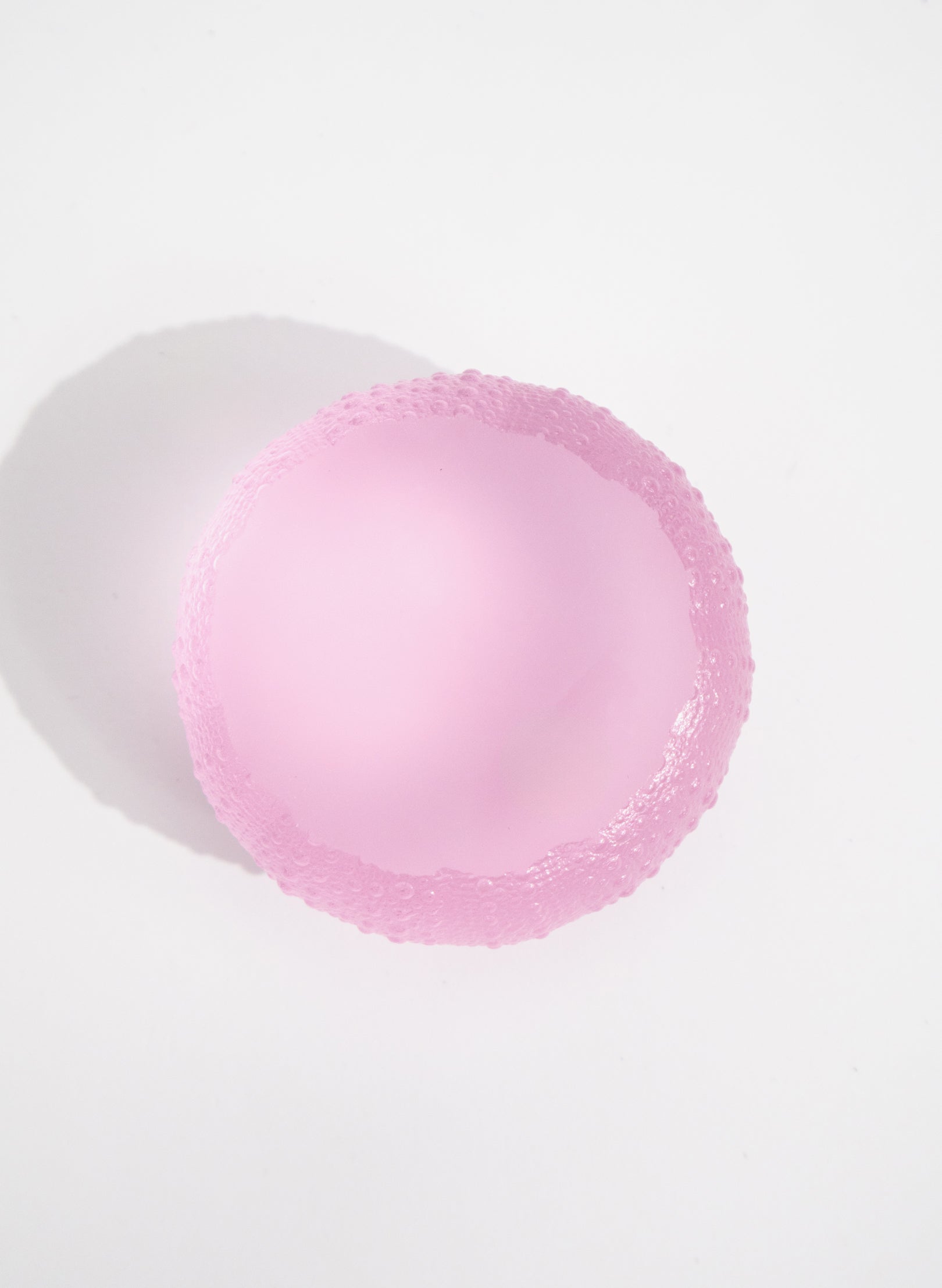 3XLarge Sea Urchin - Pink