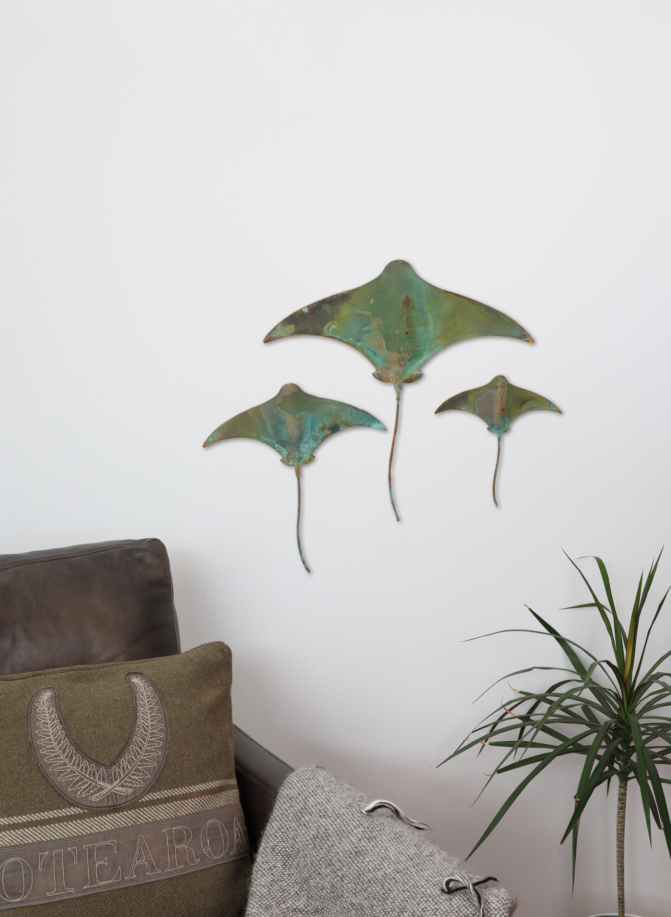 Stingray - Set of 3