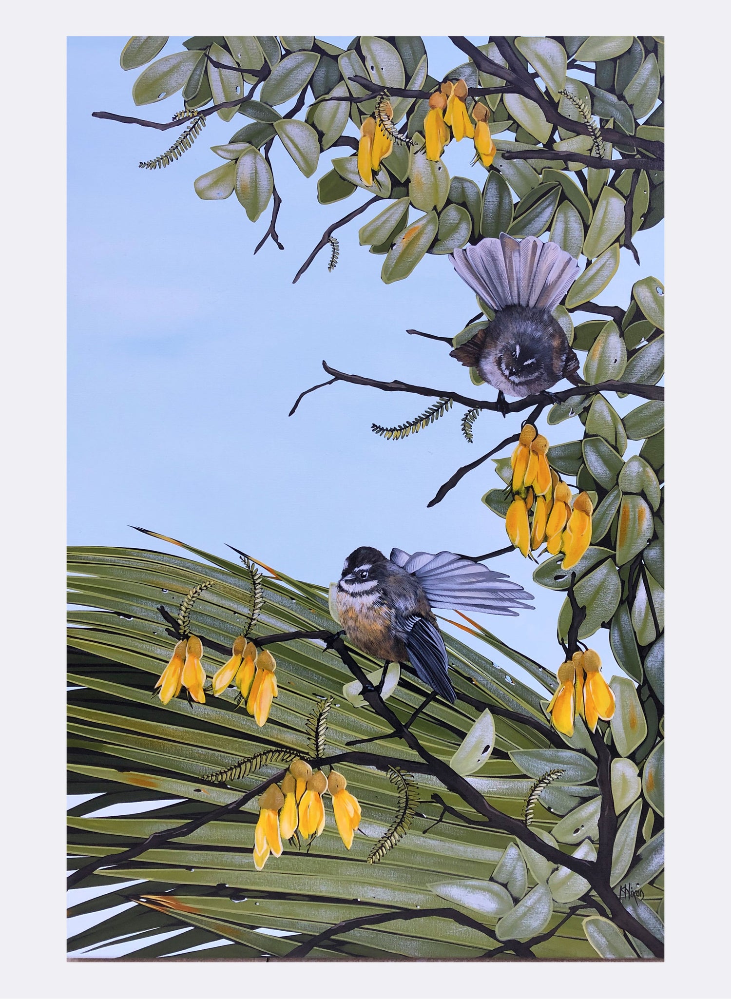 Fantail No.2 - Giclée Print