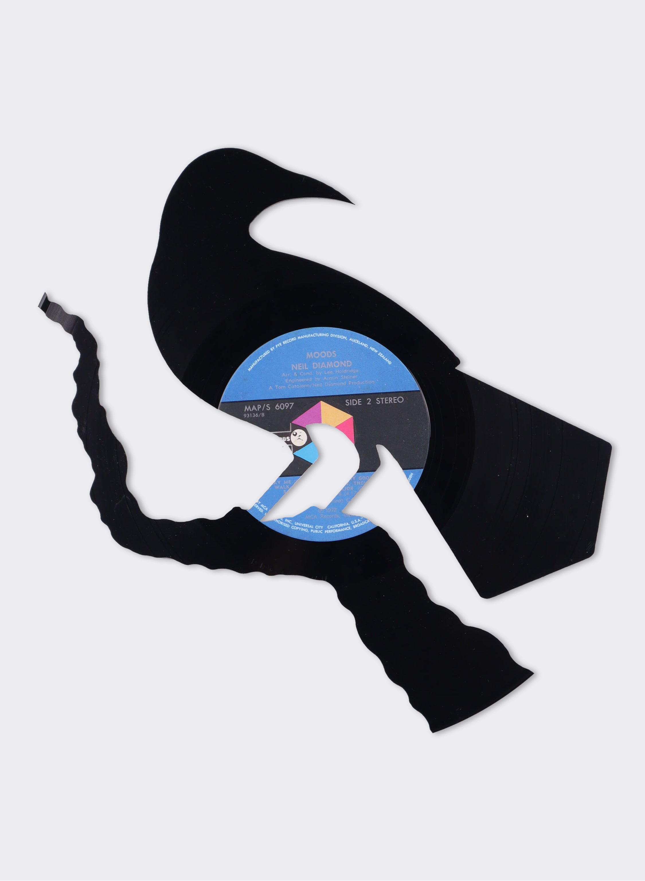 Male Huia | Moods