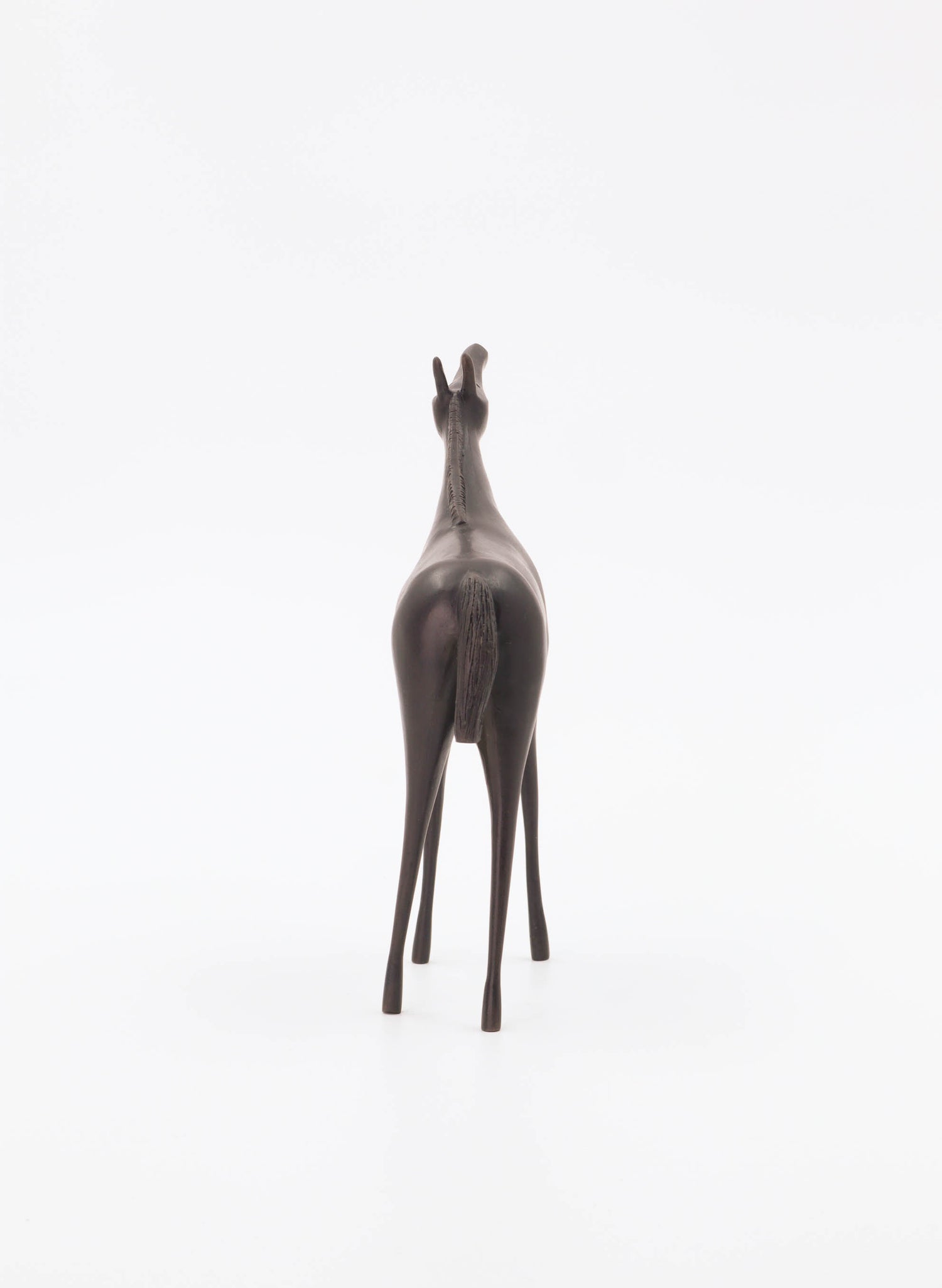 Horsey Horsey Medium