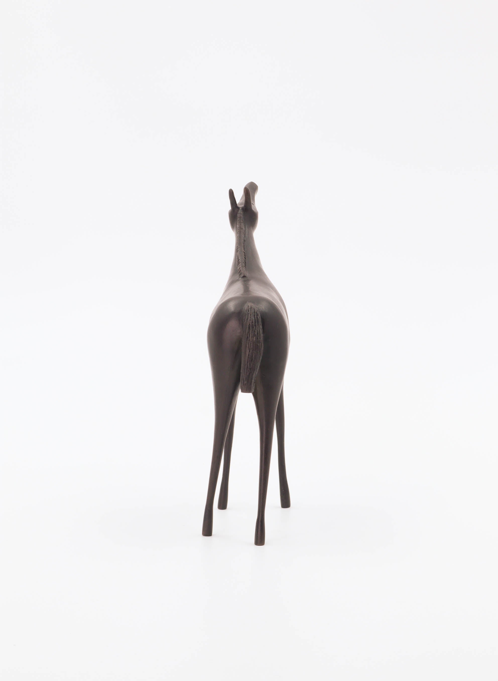Horsey Horsey Medium