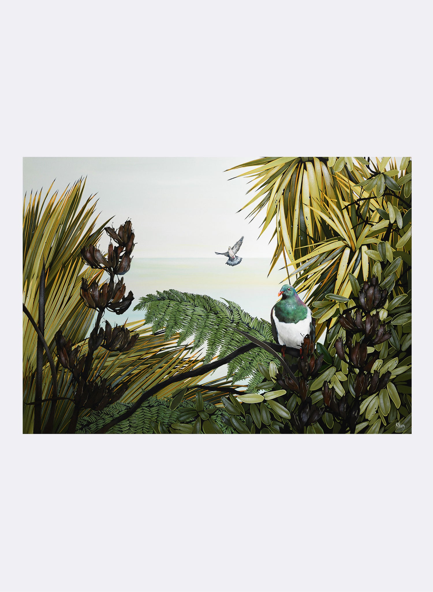 Kereru - Giclée Print