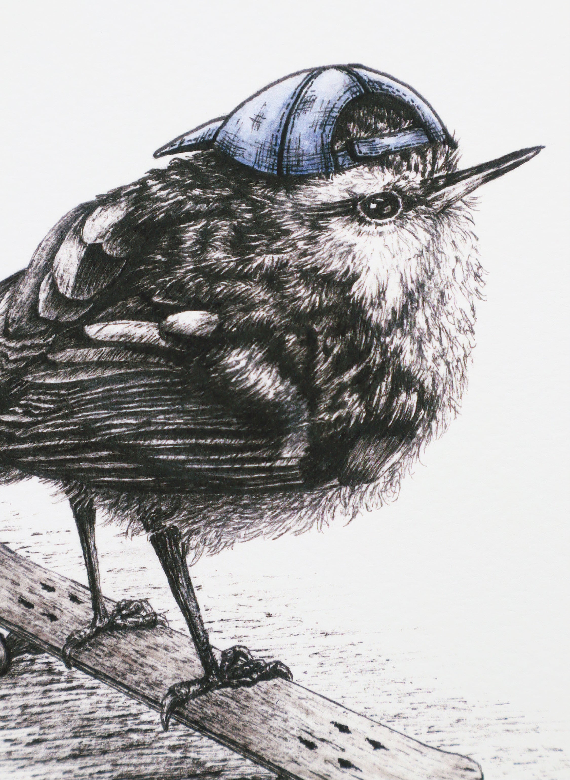 Rockwren on Skateboard - Giclée Print