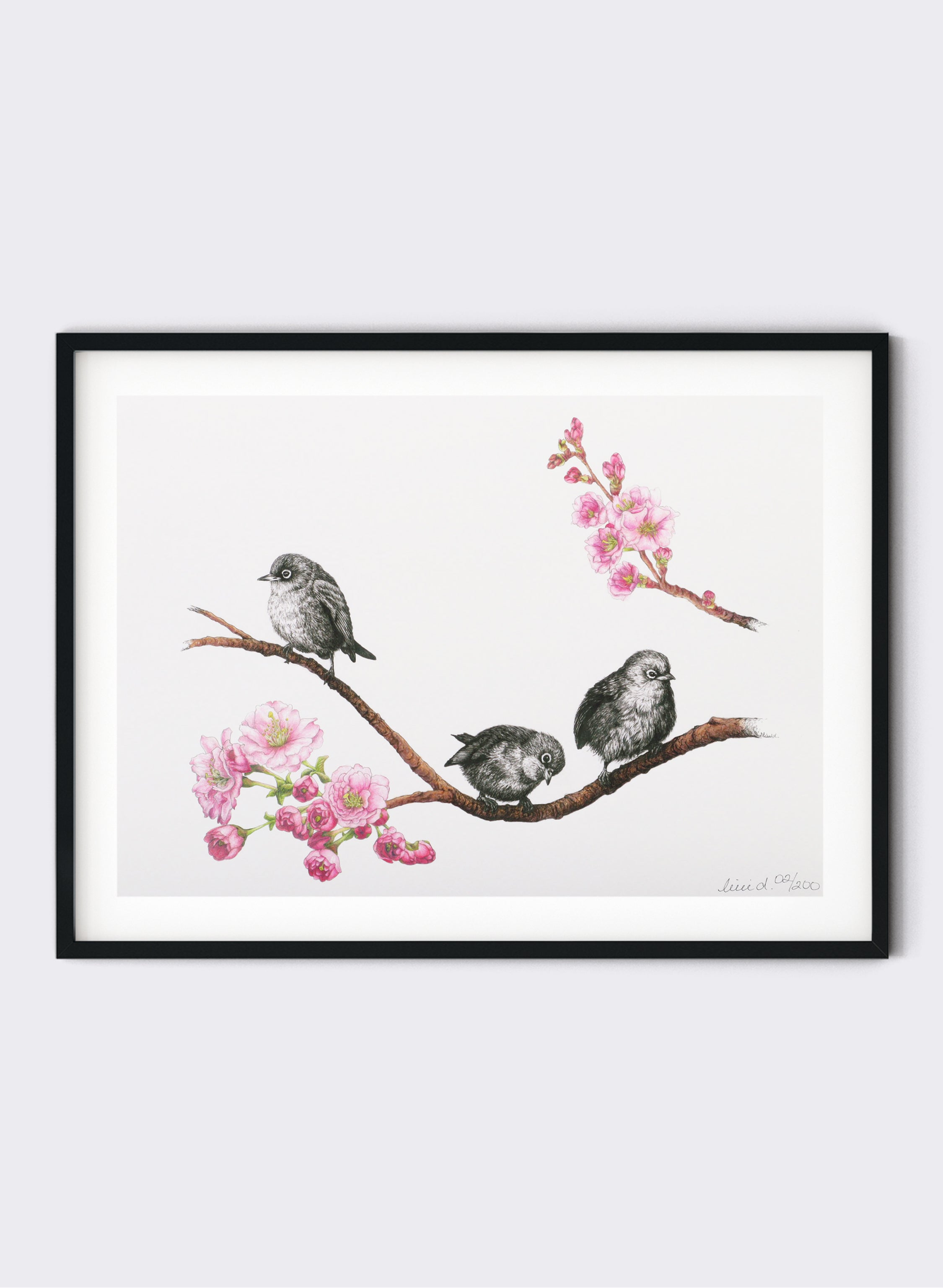 Waxeyes on Blossom Branch - Giclée Print