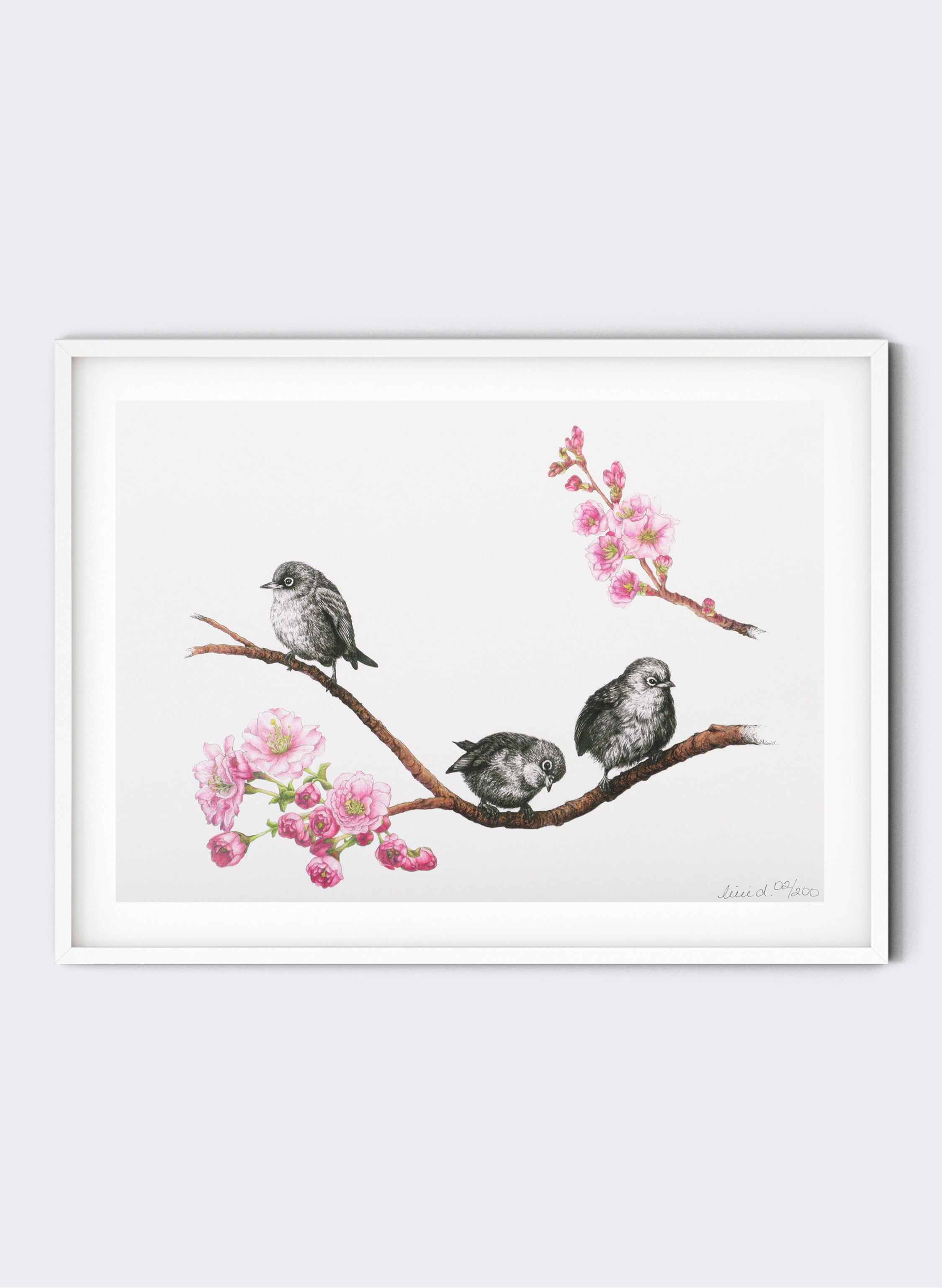 Waxeyes on Blossom Branch - Giclée Print