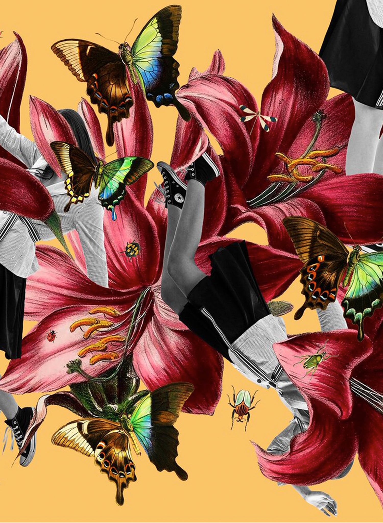 Mirror - Multimedia Fine Art Print