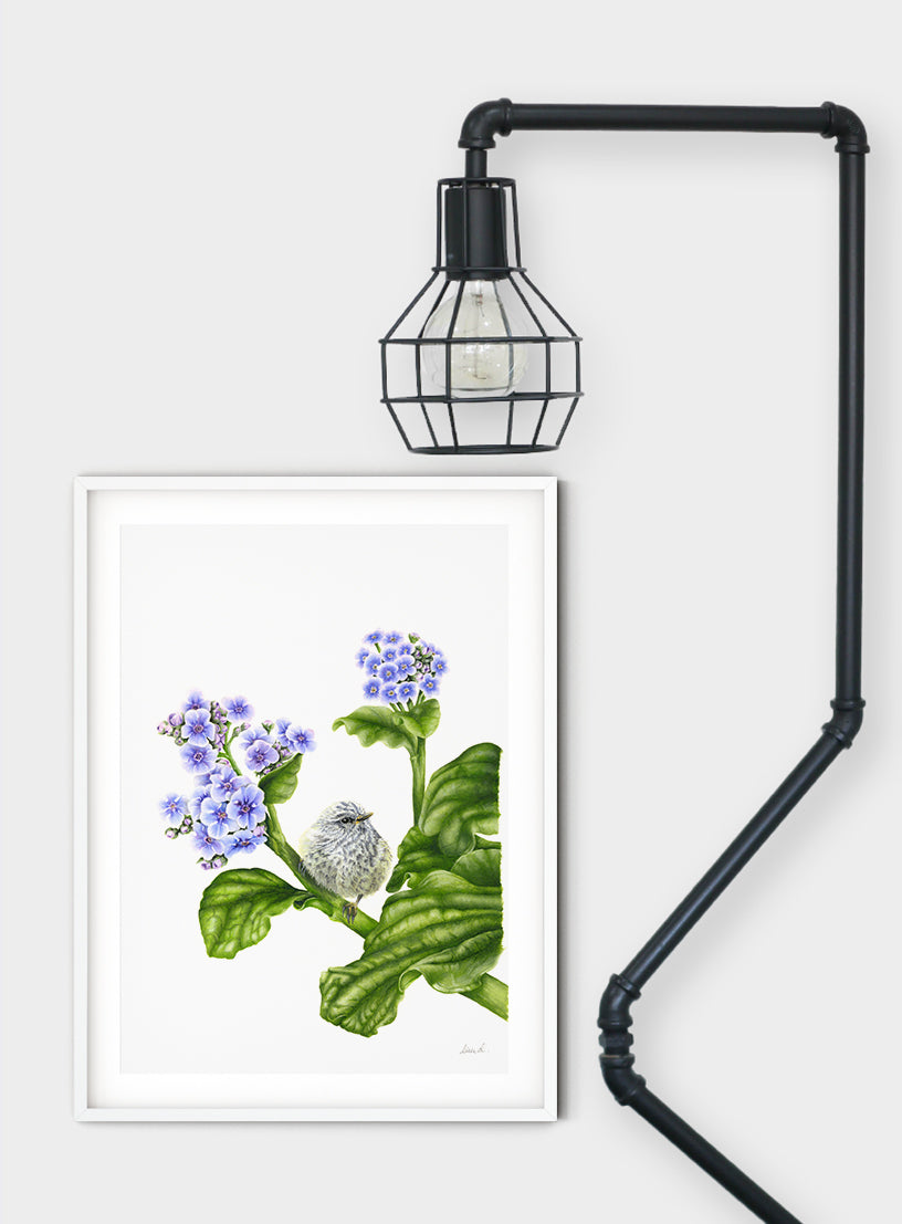 Rifleman on Chatham Island Lily - Giclée Print