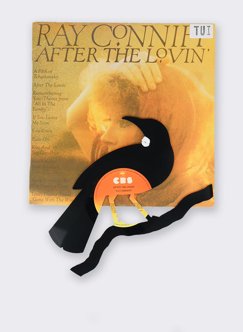 Tūī | After The Lovin&quot;