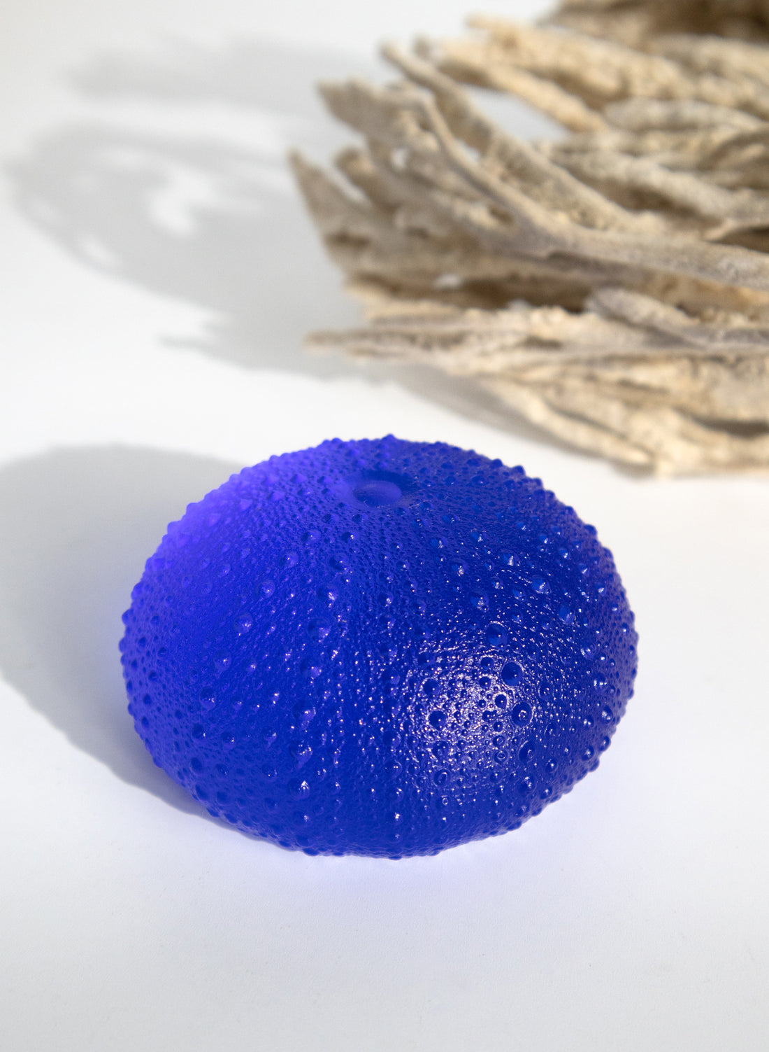 XXLarge Sea Urchin - Cobalt