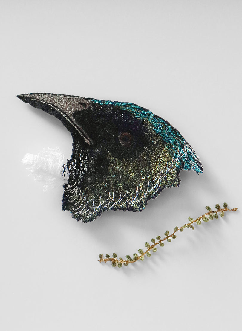 Tui &amp; Kowhai