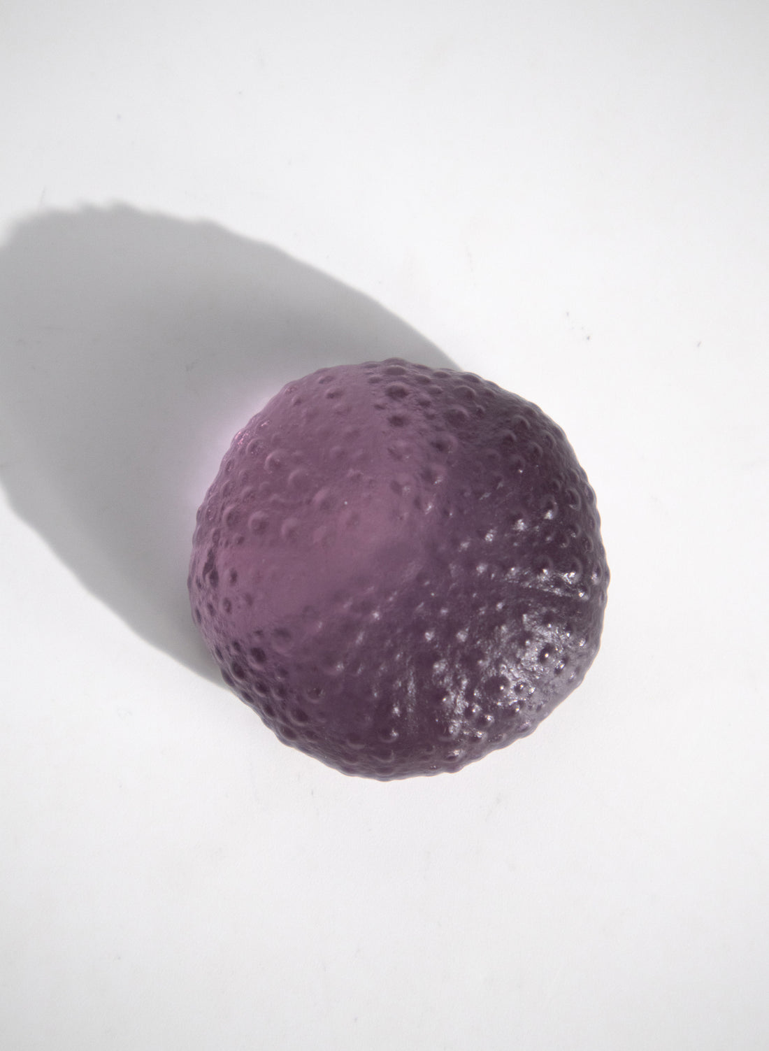 Small Sea Urchin - Purple