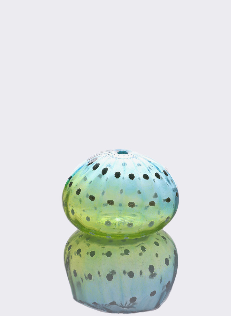Sea Urchin - Blue &amp; Yellow