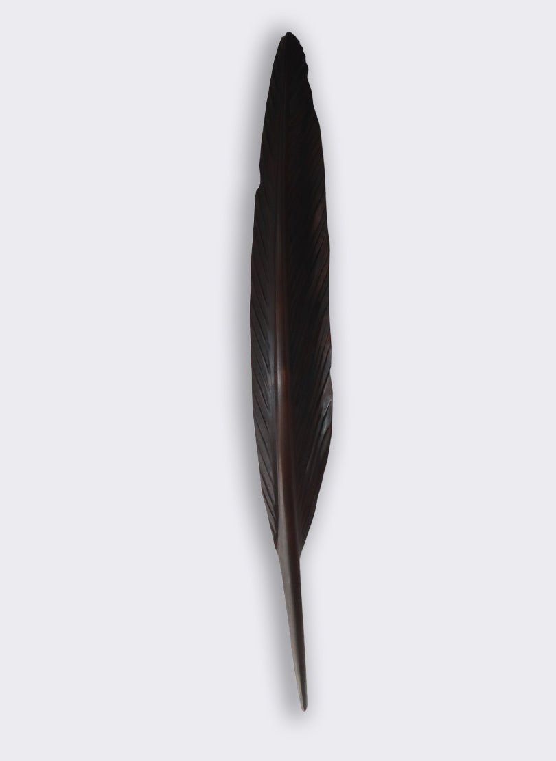 Tui Feather 1220mm - Black Swamp Kauri