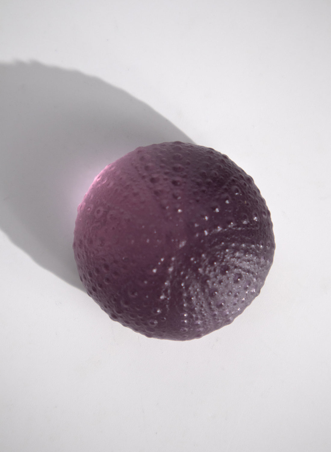 Medium Sea Urchin - Purple
