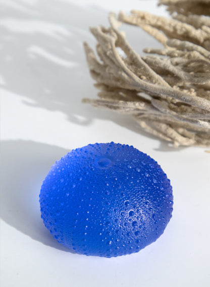 3XL Sea Urchin - Light Pale Cobalt