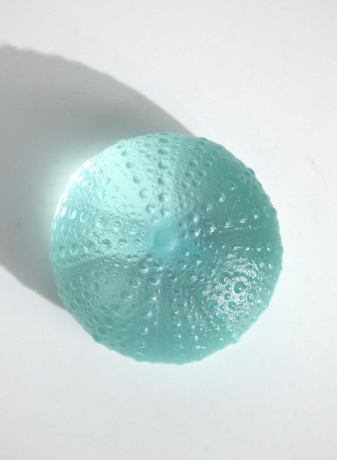 Medium Sea Urchin - Pale Copper Blue