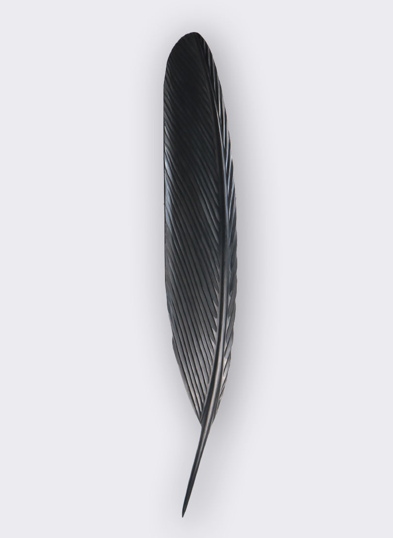 Tui Feather 1150mm - Black Kauri