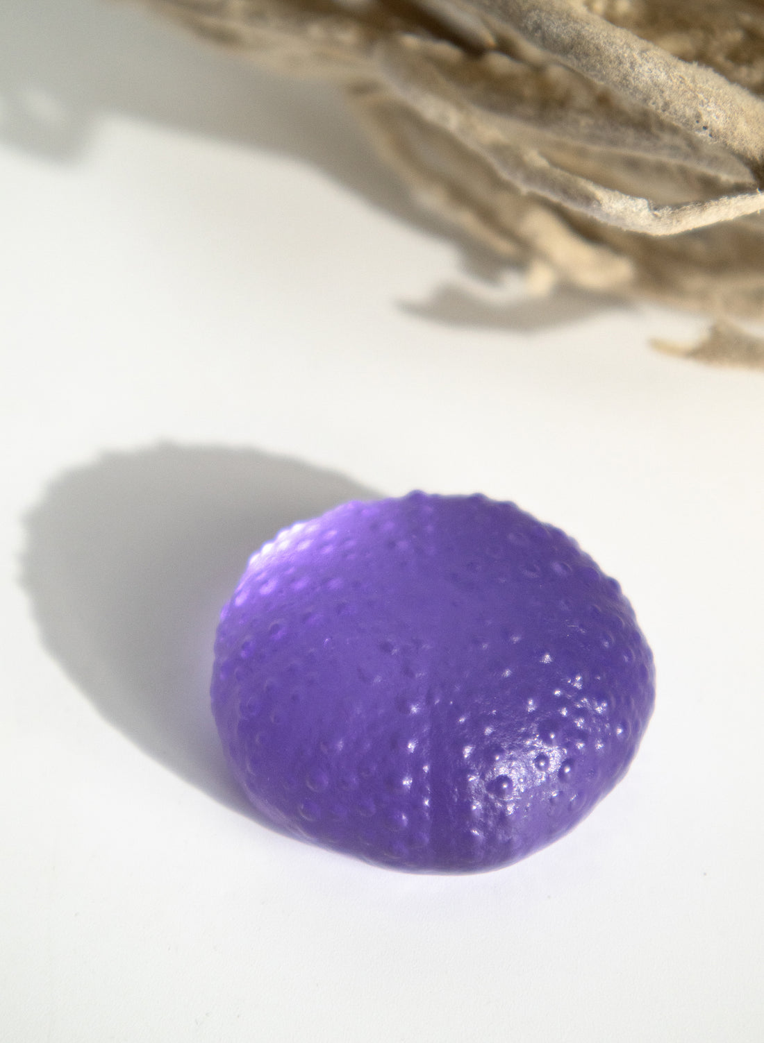 Small Sea Urchin - Hyacinth