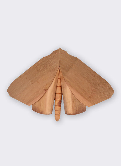 Wooden Moth - 7