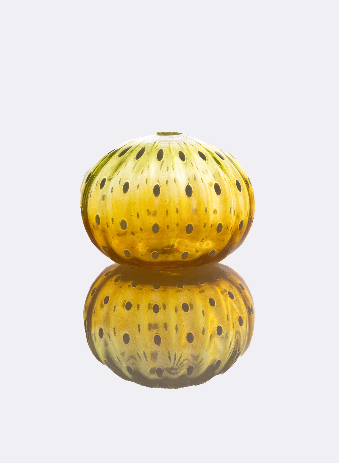 Sea Urchin - Yellows