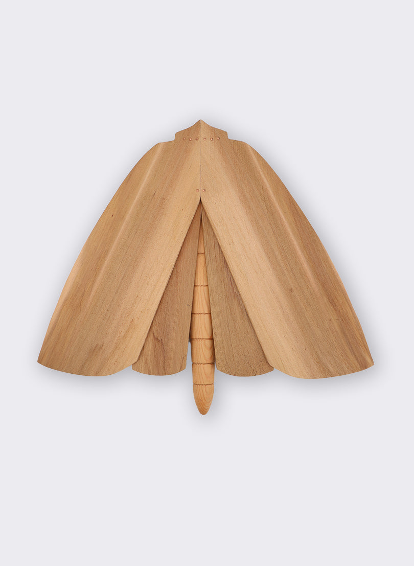 Wooden Moth - 2