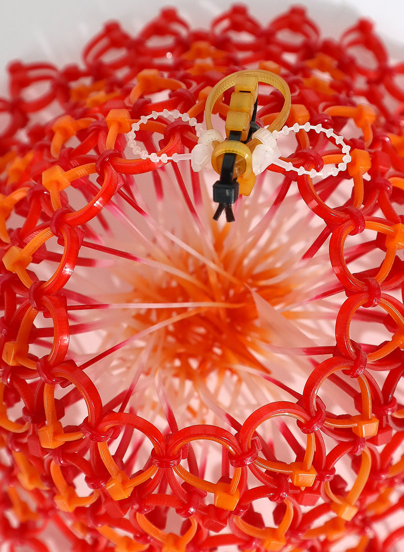 Bee Bloom  - Reds/Oranges
