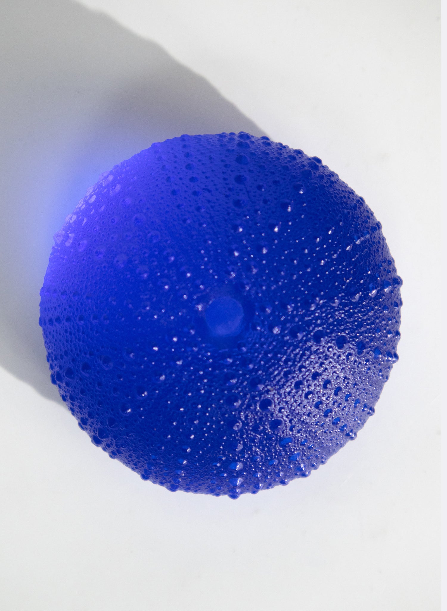 XLarge Sea Urchin - Cobalt