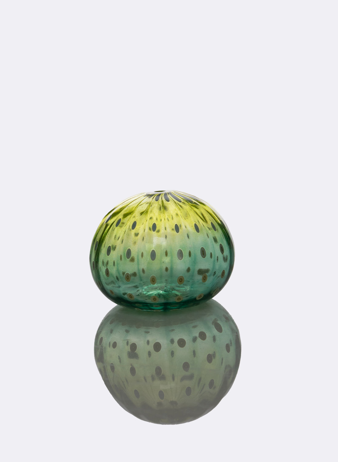 Sea Urchin - Lime &amp; Green