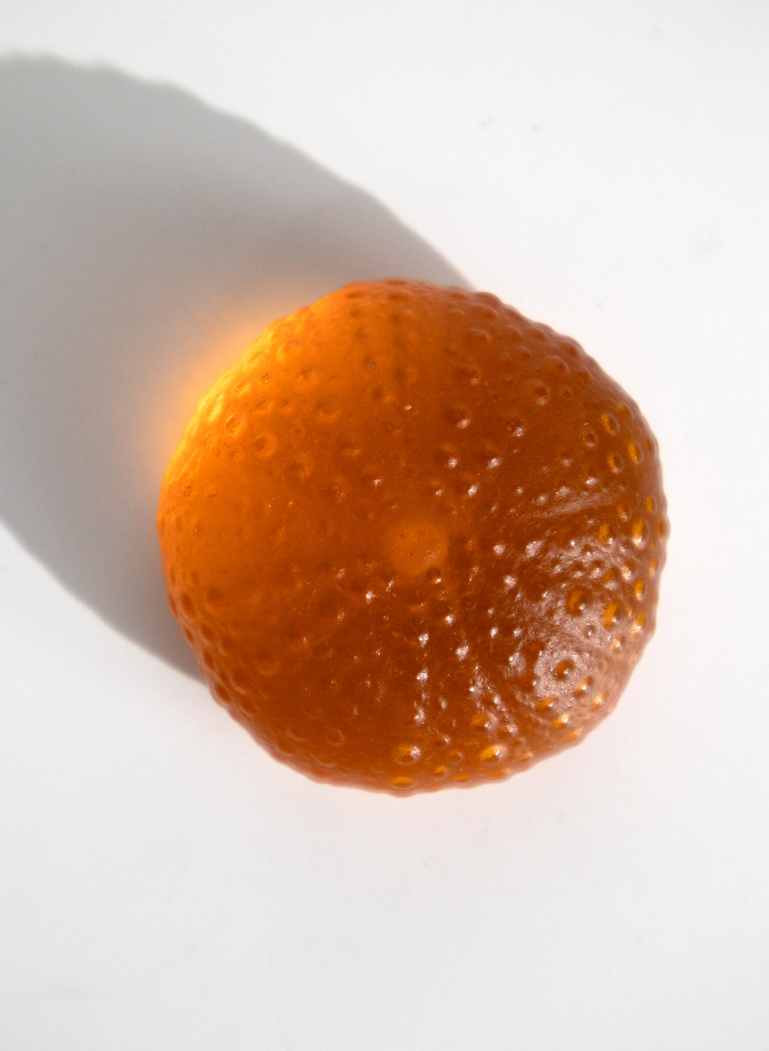 Small Sea Urchin - Orange