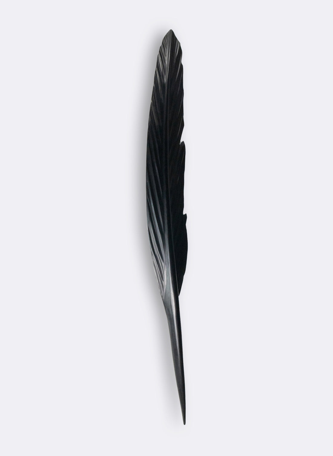 Tui Feather 1170mm - Black Swamp Kauri