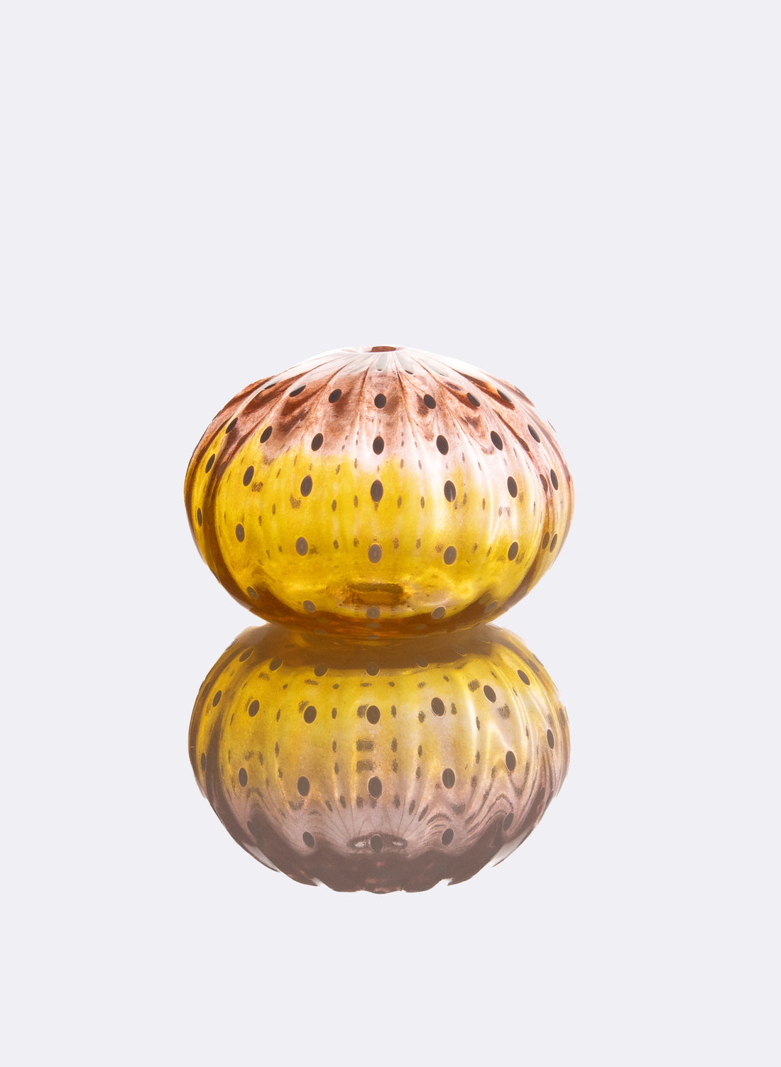 Sea Urchin - Yellow + Peach