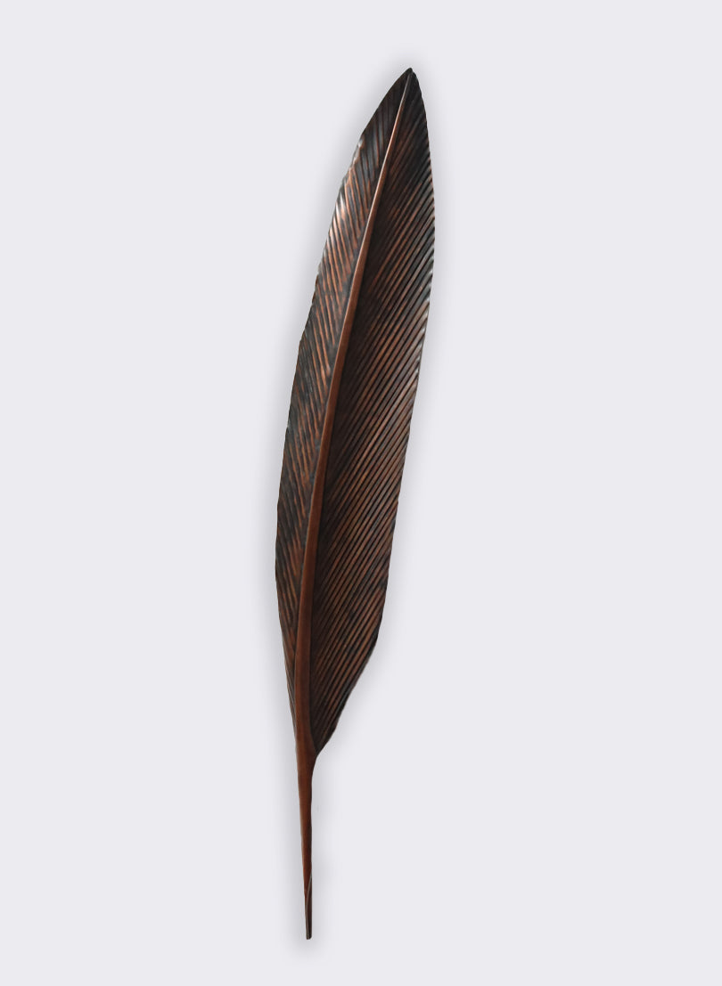 Tui Copper Feather 1240mm