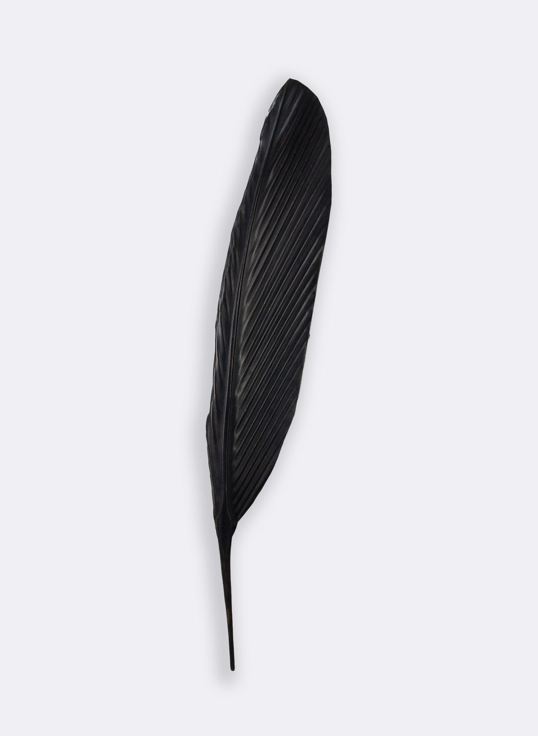 Tui Feather Copper 680mm