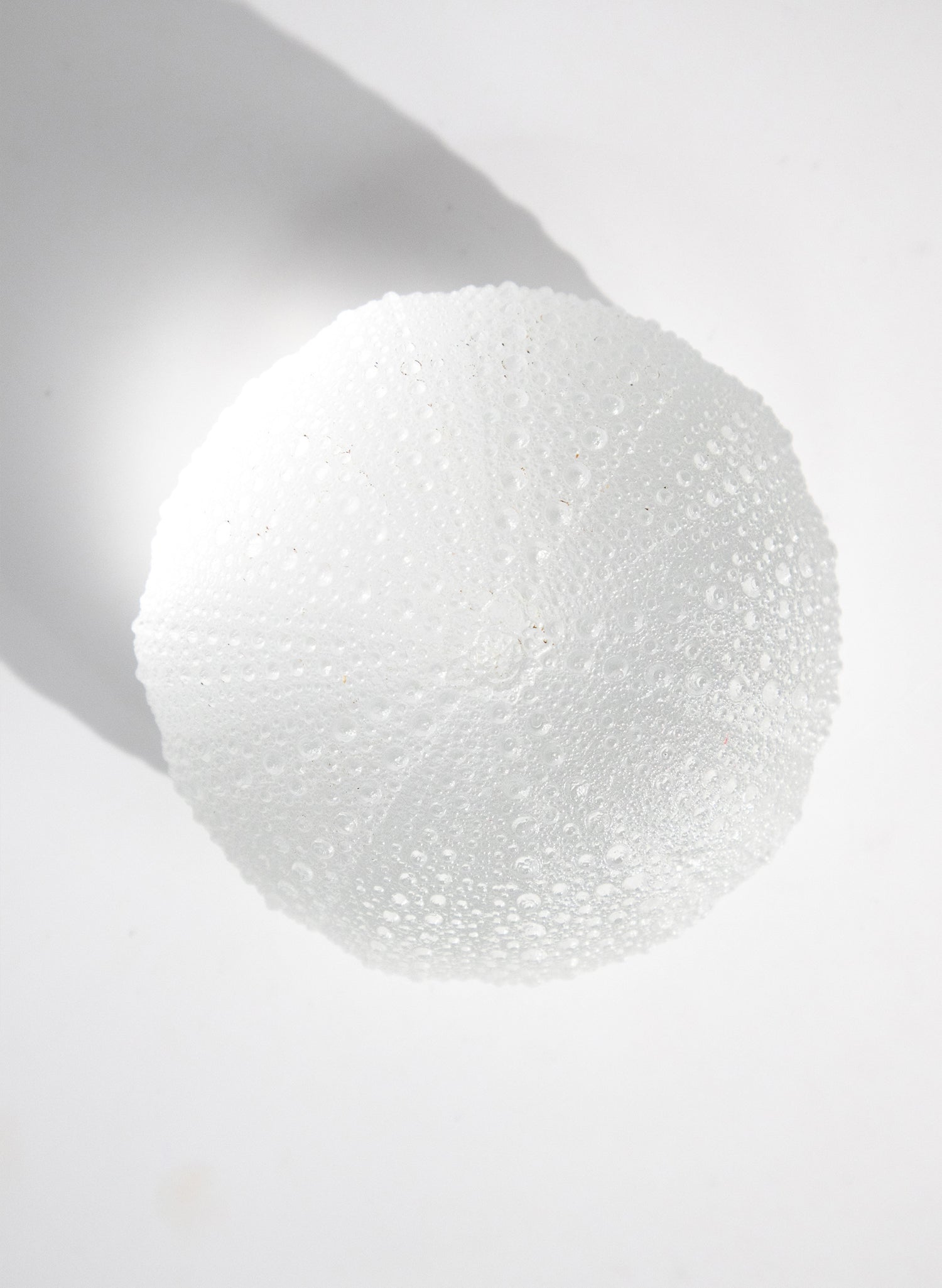 XLarge Sea Urchin - Clear
