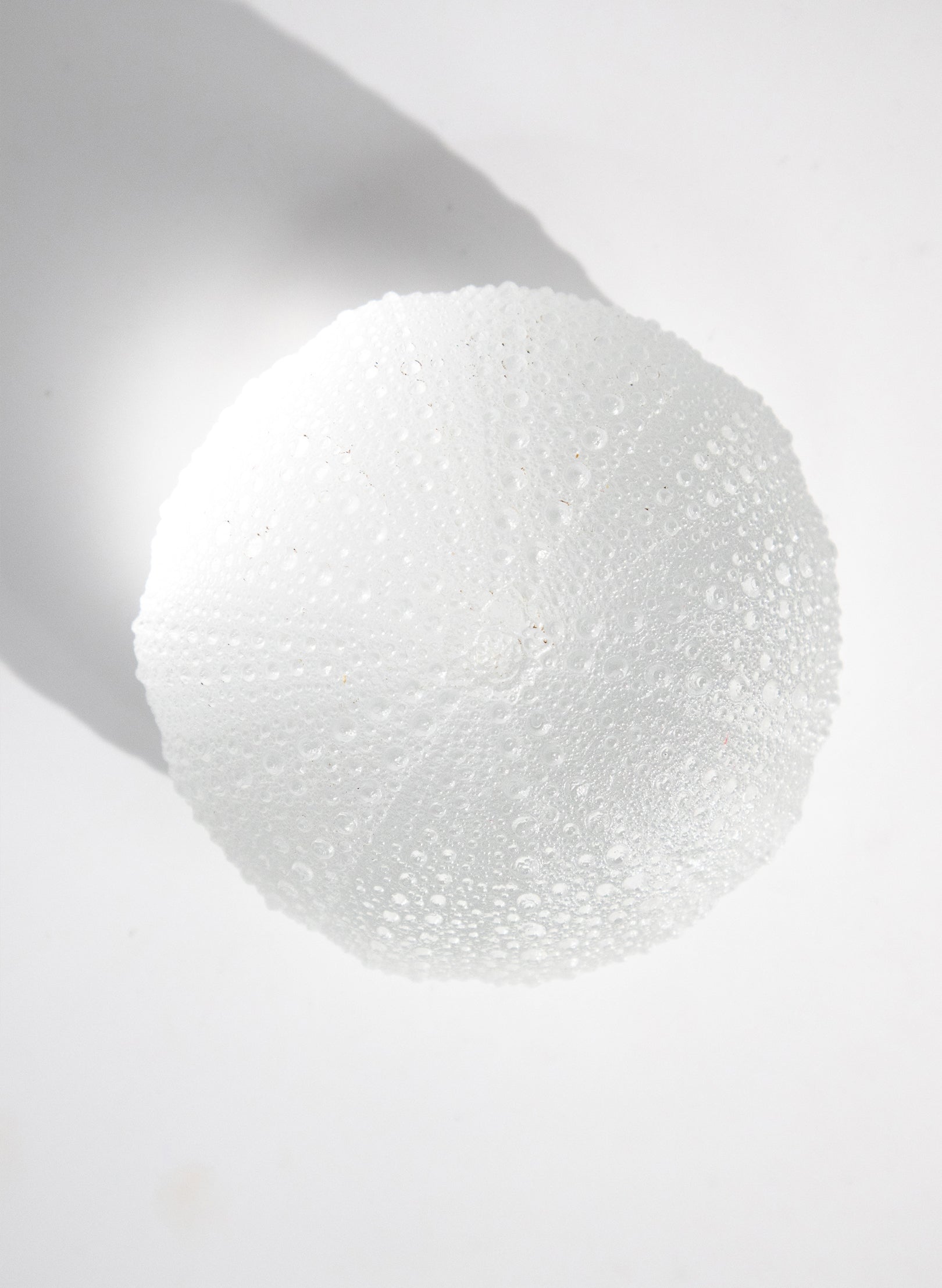 XLarge Sea Urchin - Clear