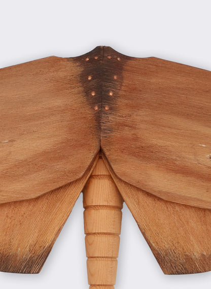 Wooden Moth - 6