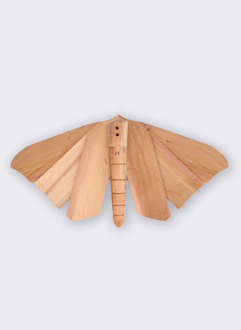 Wooden Moth - 21