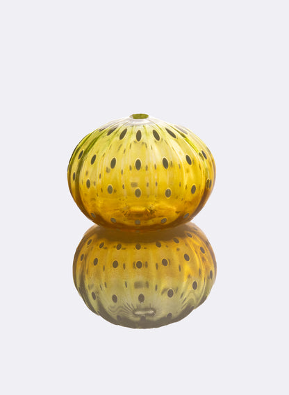 Sea Urchin - Yellows
