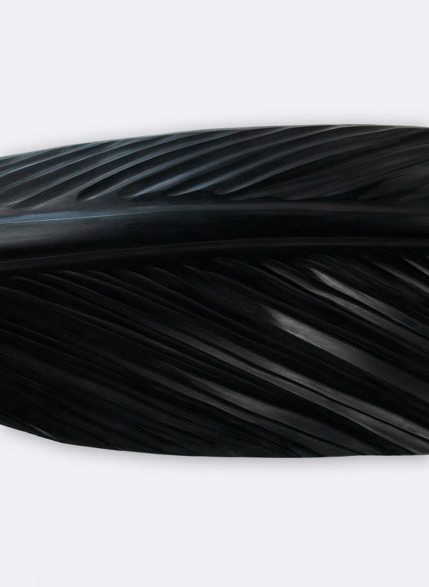 Tui Feather 1380mm - Black Swamp Kauri