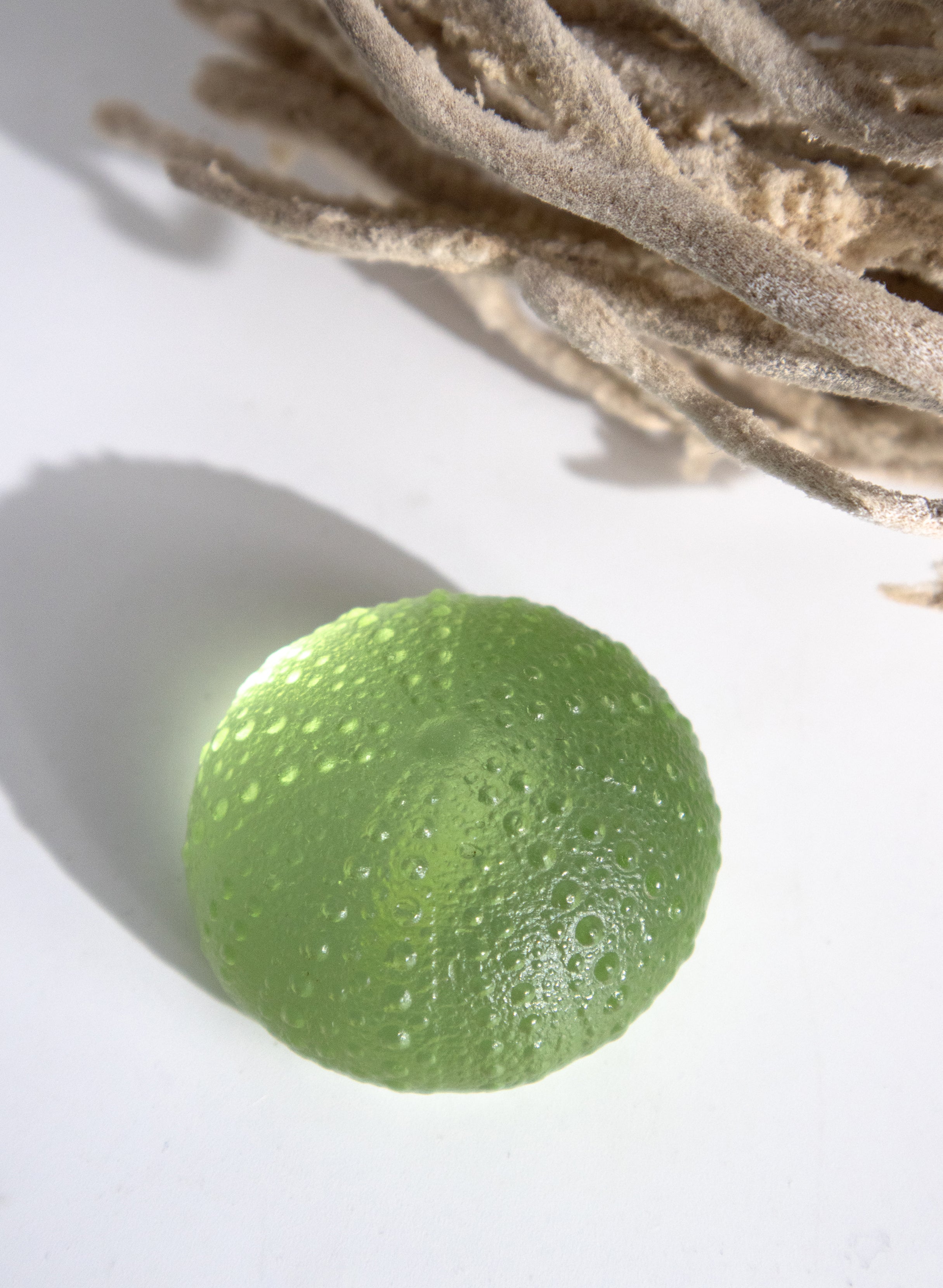 Medium Sea Urchin - Pale Olive