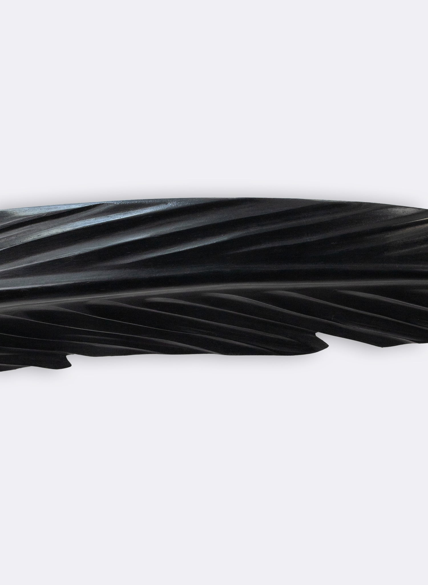 Tui Feather 1170mm - Black Swamp Kauri