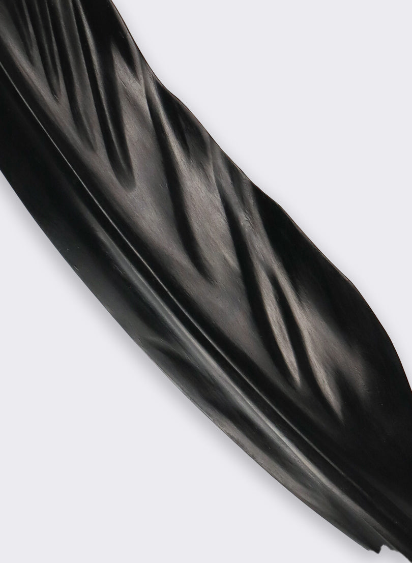Tui Feather 610mm - Black Rimu